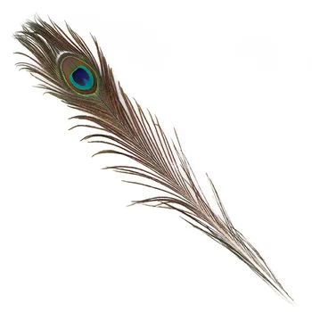 10 шт./лот, настоящие натуральные павлиньи перья для рукоделия, длинные перья, декор из перьев, Вазы 