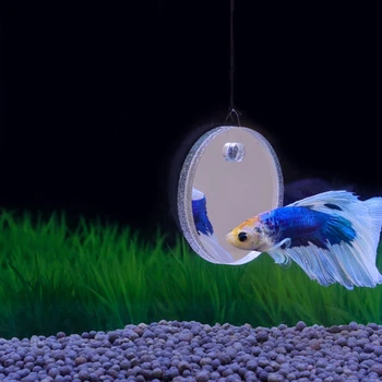 Зеркало для упражнений с рыбками способствует естественному территориальному поведению 5/6/7 см для аквариума Betta Fish Toy Mirrior Уменьшает скуку